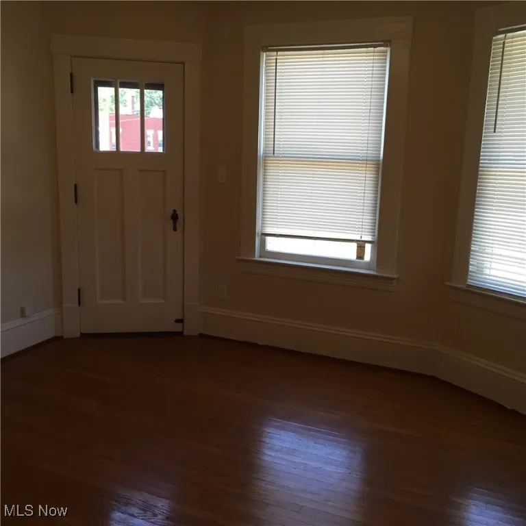 Foyer featuring dark wood-type flooring