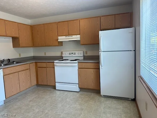 Kitchen featuring fridge, range, ventilation hood, light flooring, and dishwasher