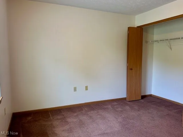 Unfurnished bedroom featuring carpet flooring and a closet