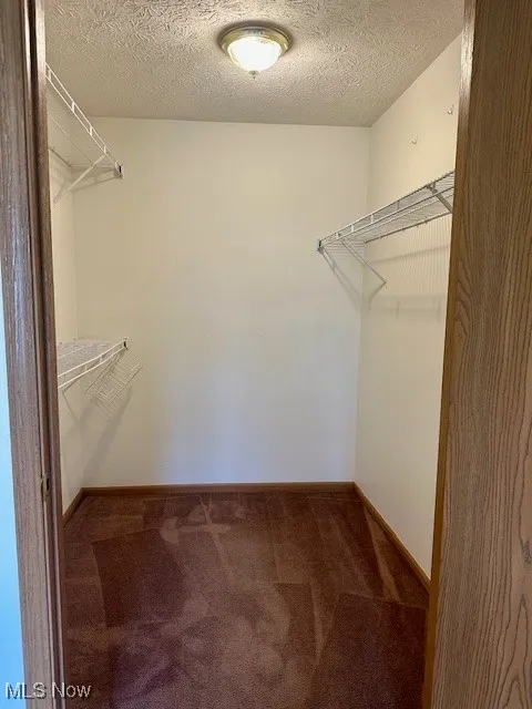 Spacious closet with carpet flooring