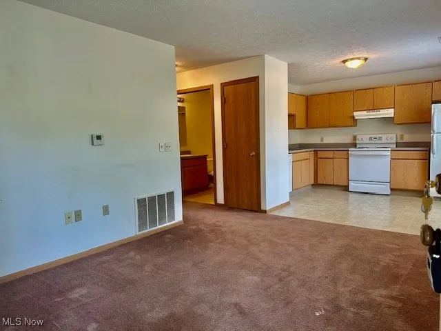 Kitchen featuring white appliances, under cabinet range hood, light colored carpet, and a textured ceiling