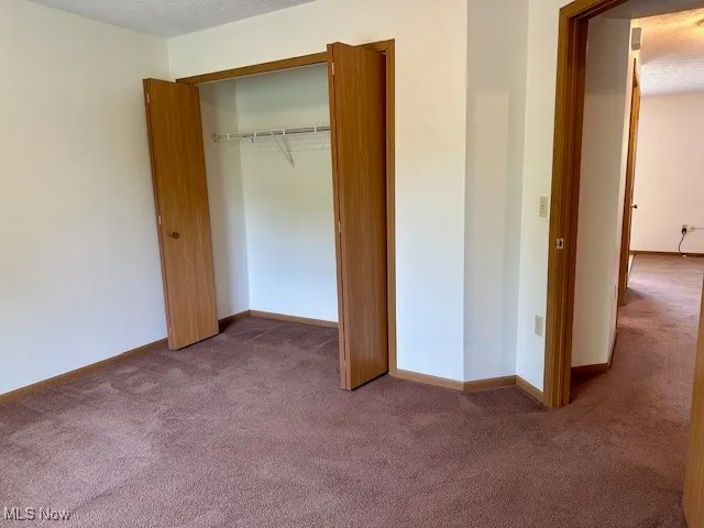 Unfurnished bedroom featuring carpet floors and a closet