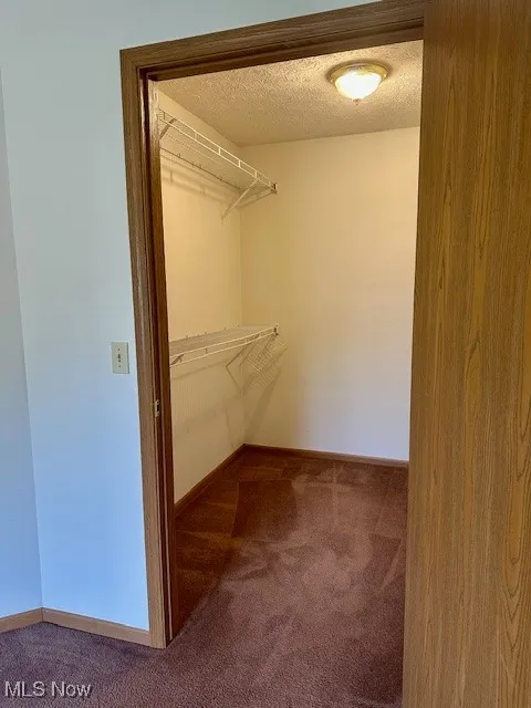 Walk in closet featuring carpet