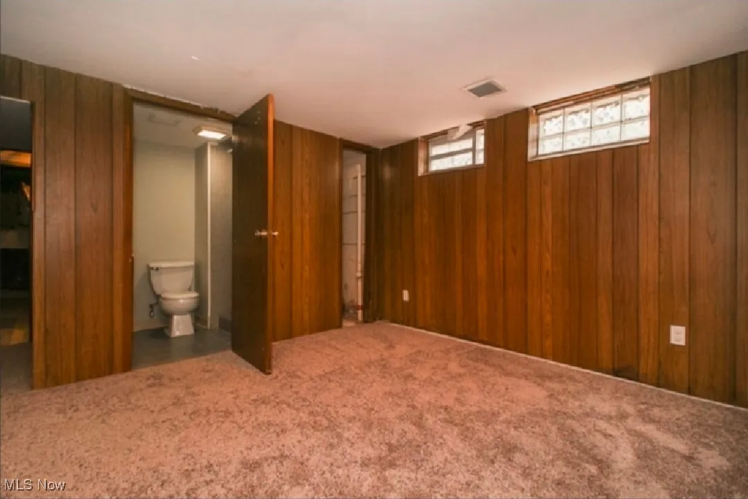 Basement featuring wooden walls and carpet flooring