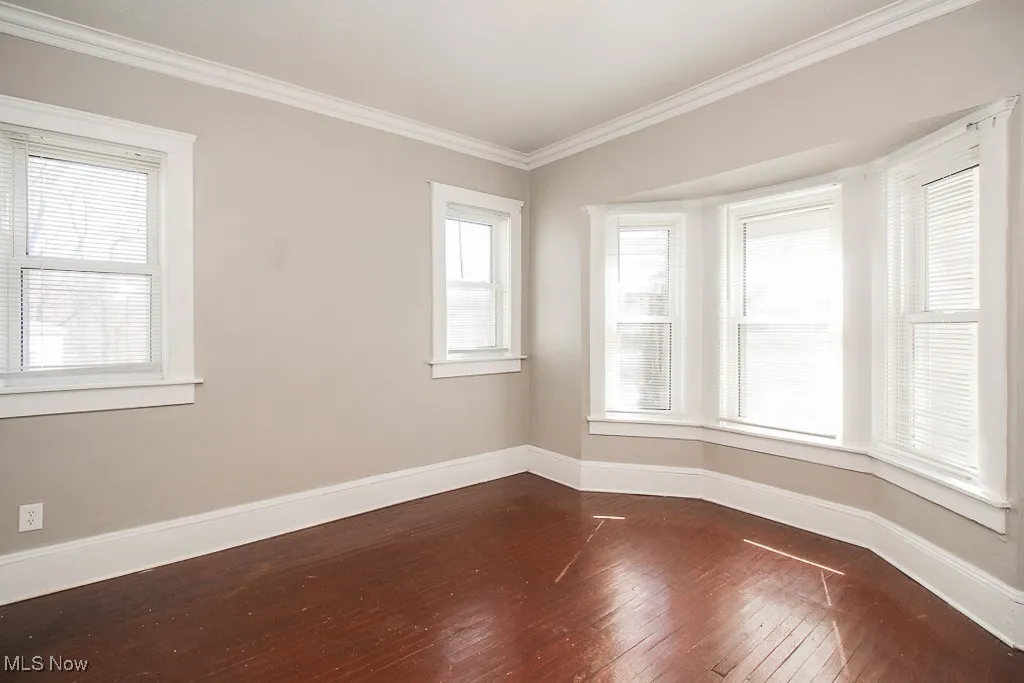 Spare room with crown molding and dark wood-style flooring