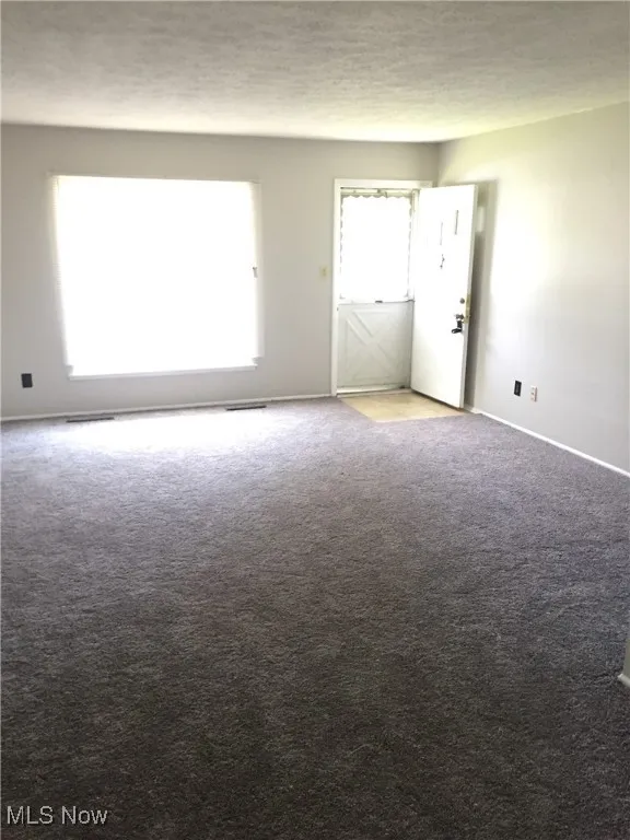 Unfurnished room featuring light colored carpet and a textured ceiling