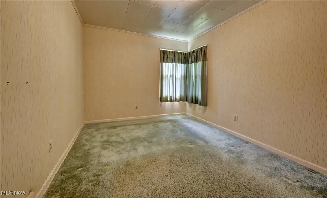 Empty room with crown molding and carpet
