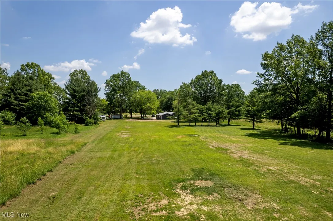 View of grassy yard