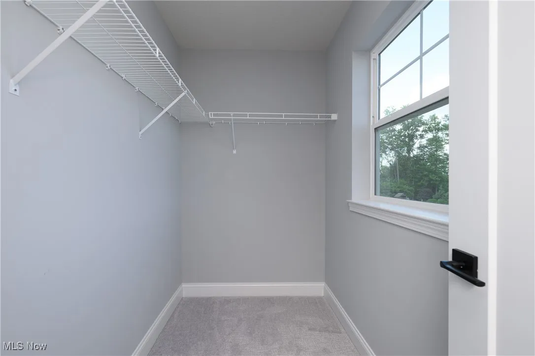 Spacious closet with carpet