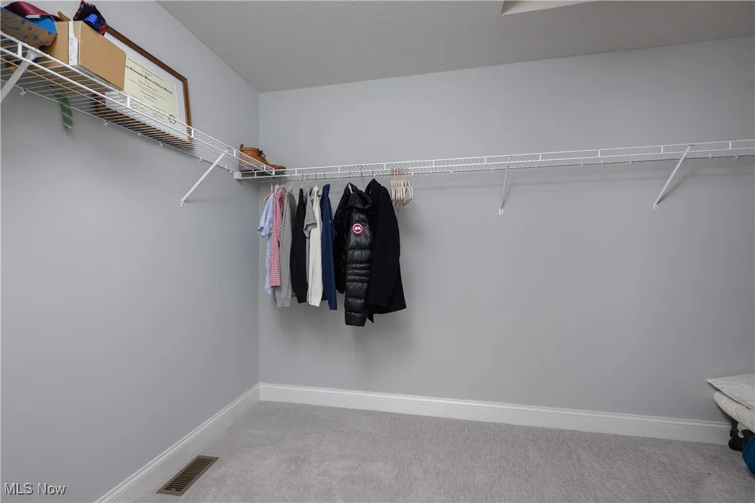 Spacious closet with carpet floors