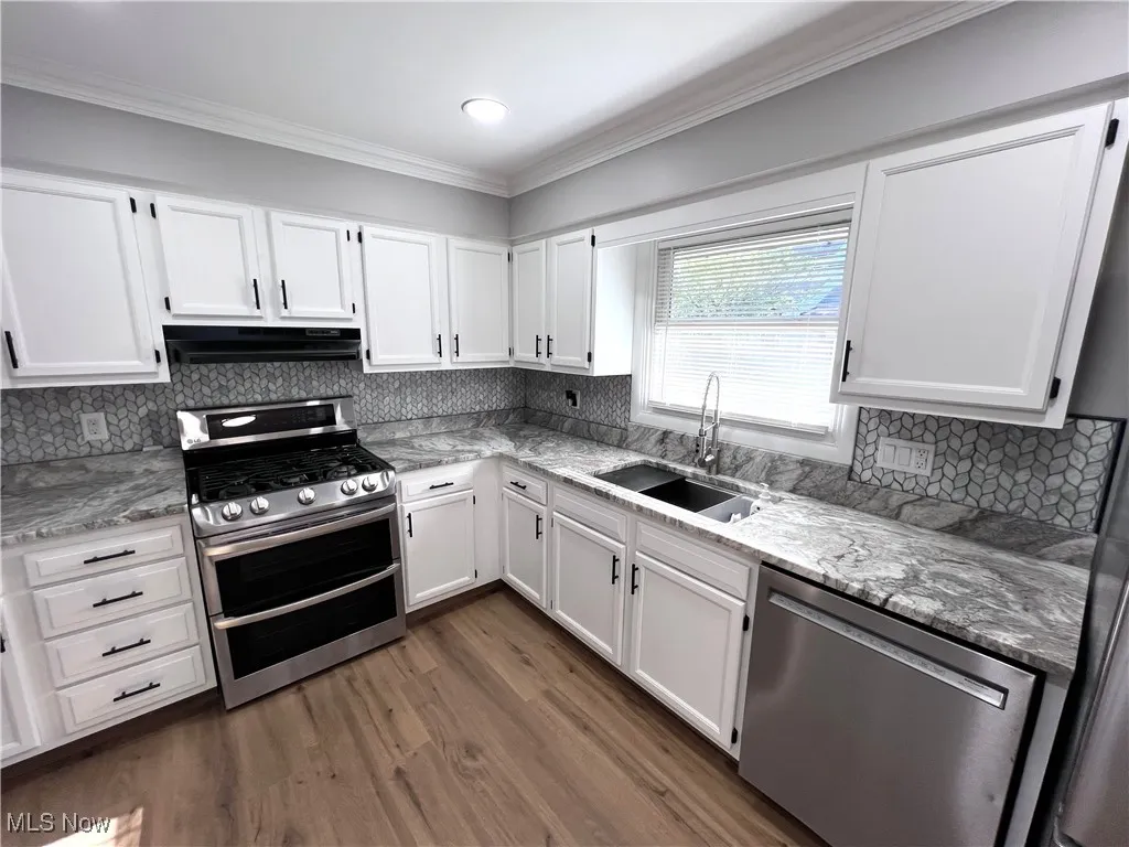 Kitchen with appliances with stainless steel finishes, ventilation hood, white cabinetry, ornamental molding, and recessed lighting