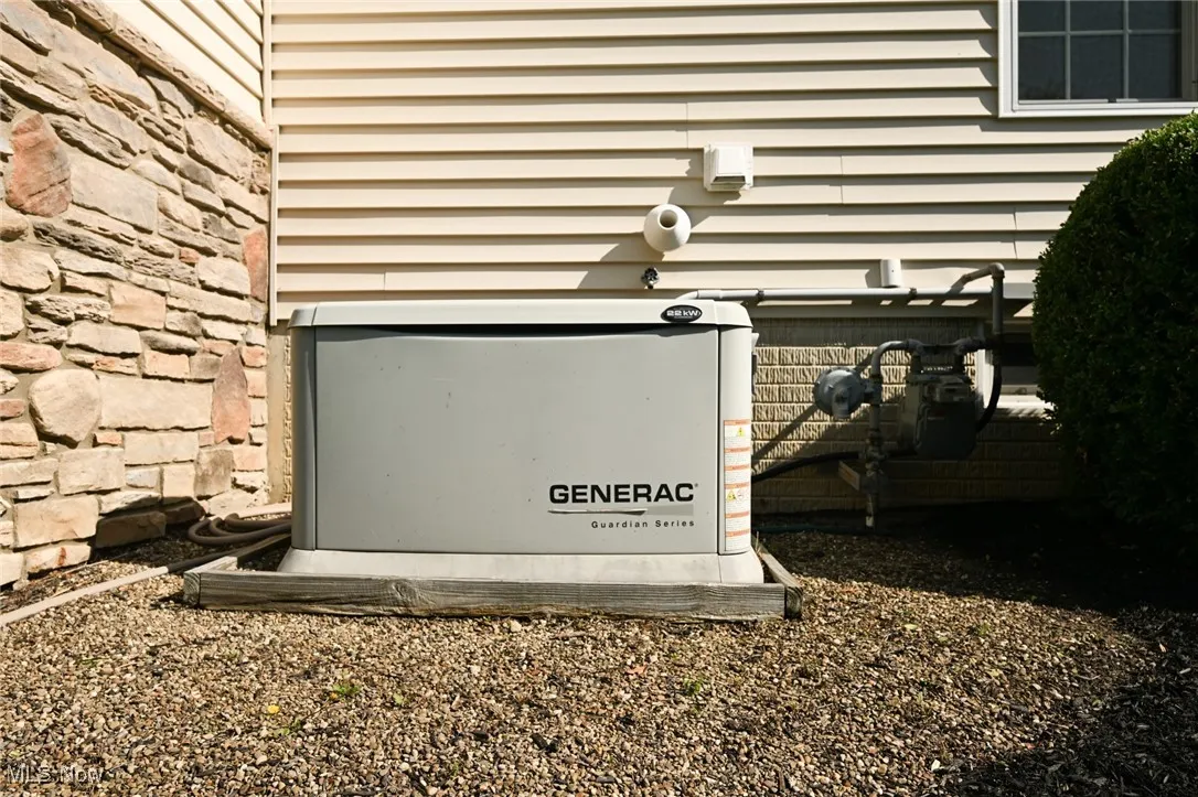 Whole house generator.