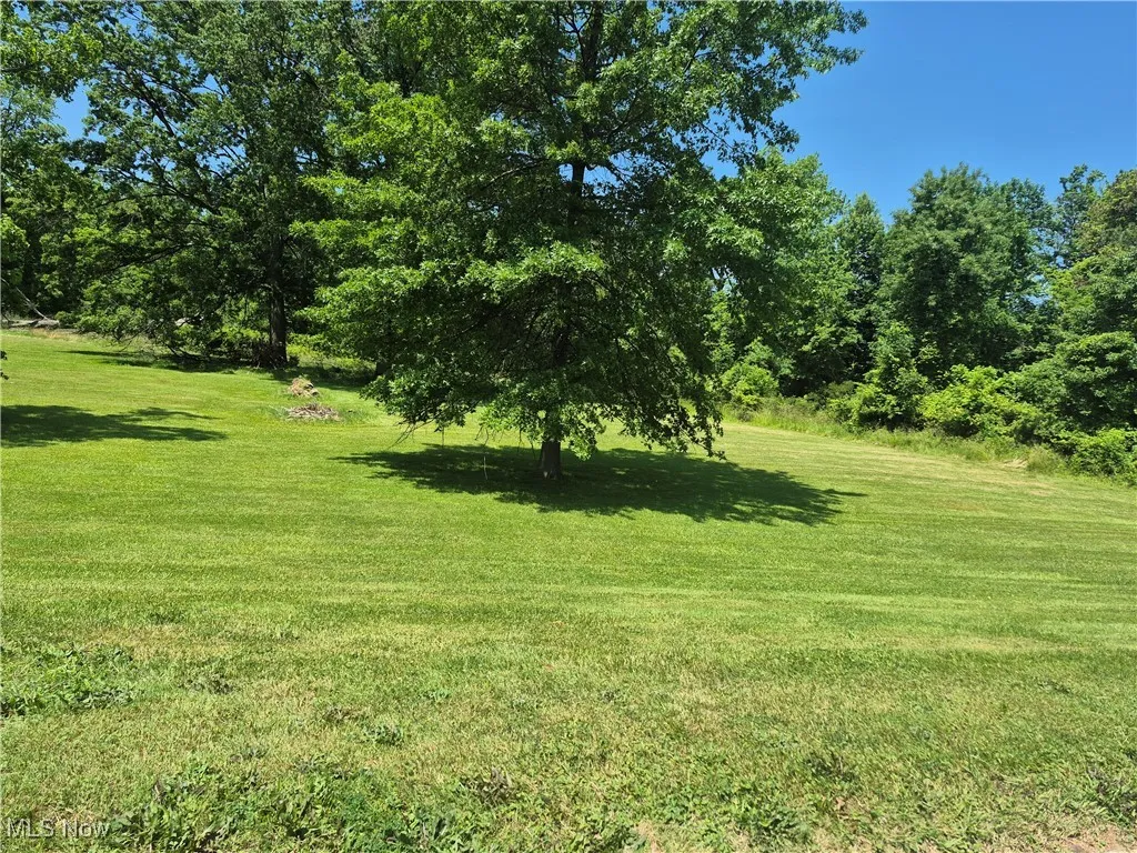 View of grassy yard