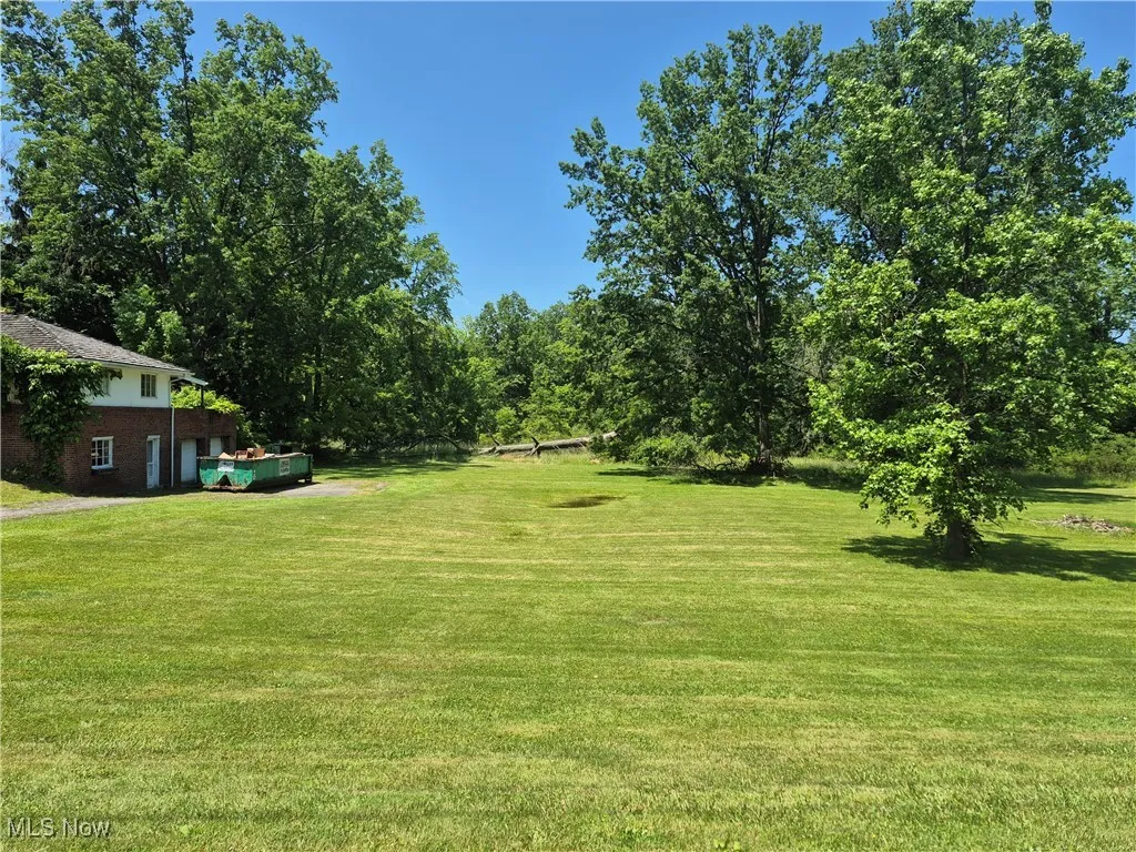 View of green lawn