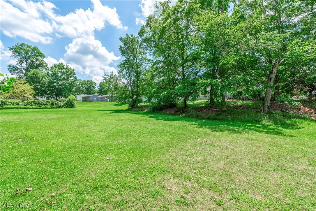 View of grassy yard