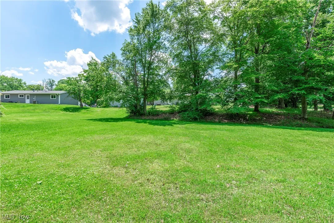 View of grassy yard