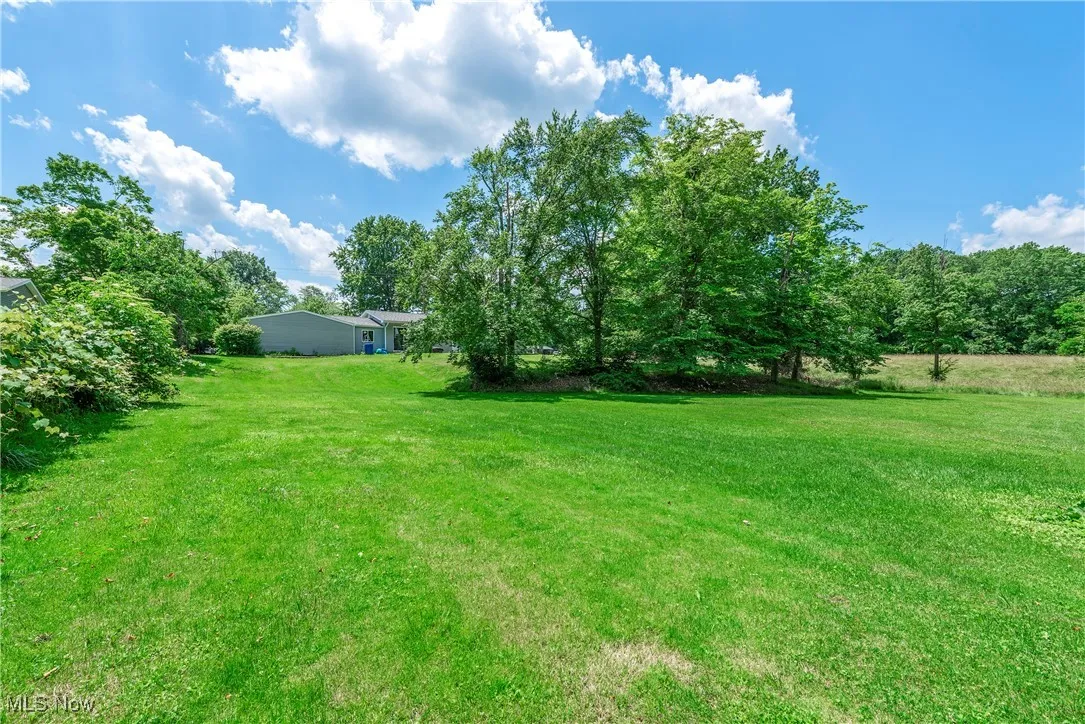 View of grassy yard