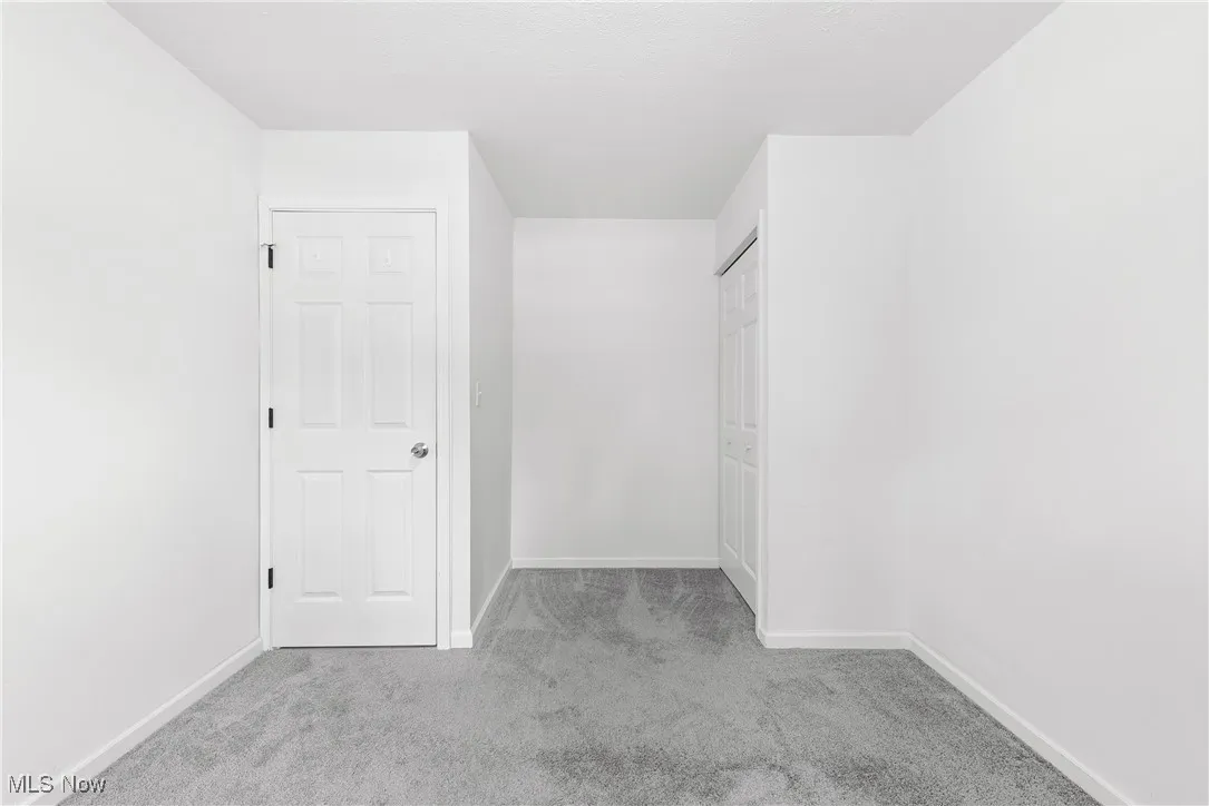 Spacious closet with carpet