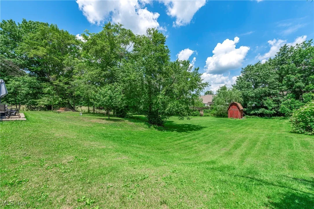 View of green lawn featuring a storage shed