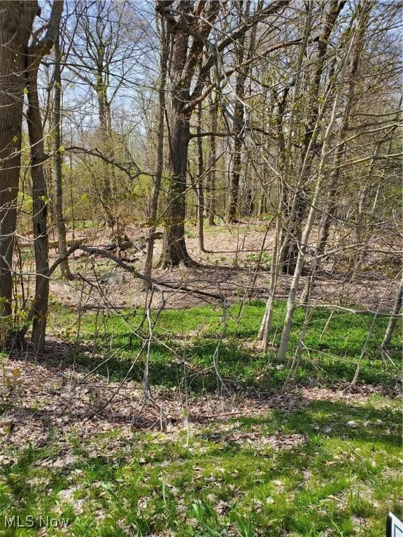 View of local wilderness