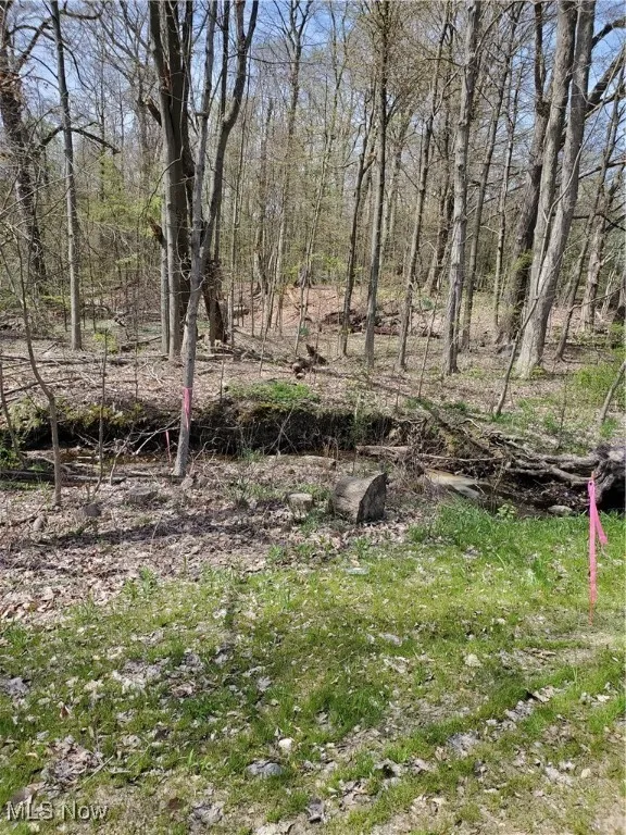 View of nature