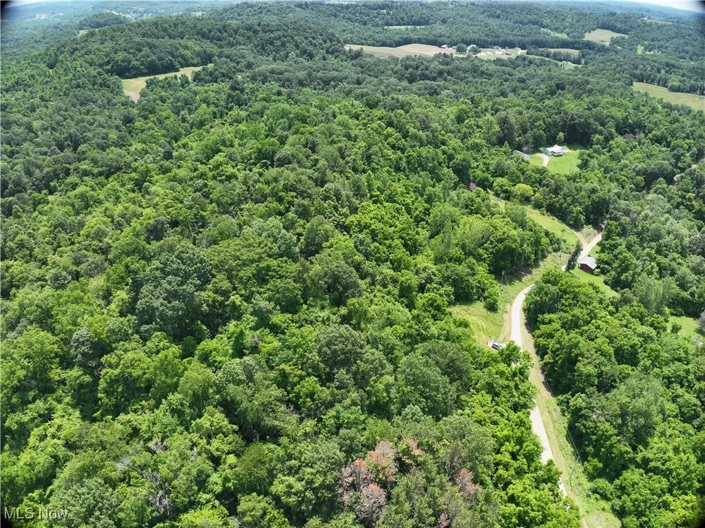 Archer, Pleasant City, Ohio 43772,MLS Now Listing ID