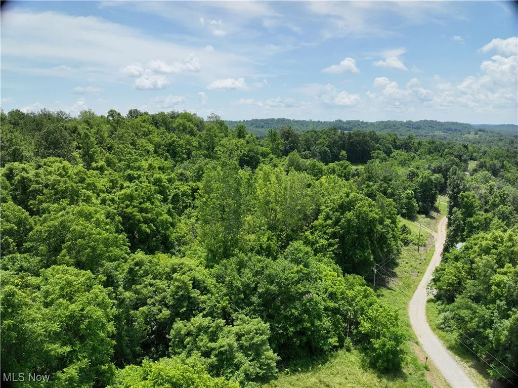 Archer, Pleasant City, Ohio 43772,MLS Now Listing ID