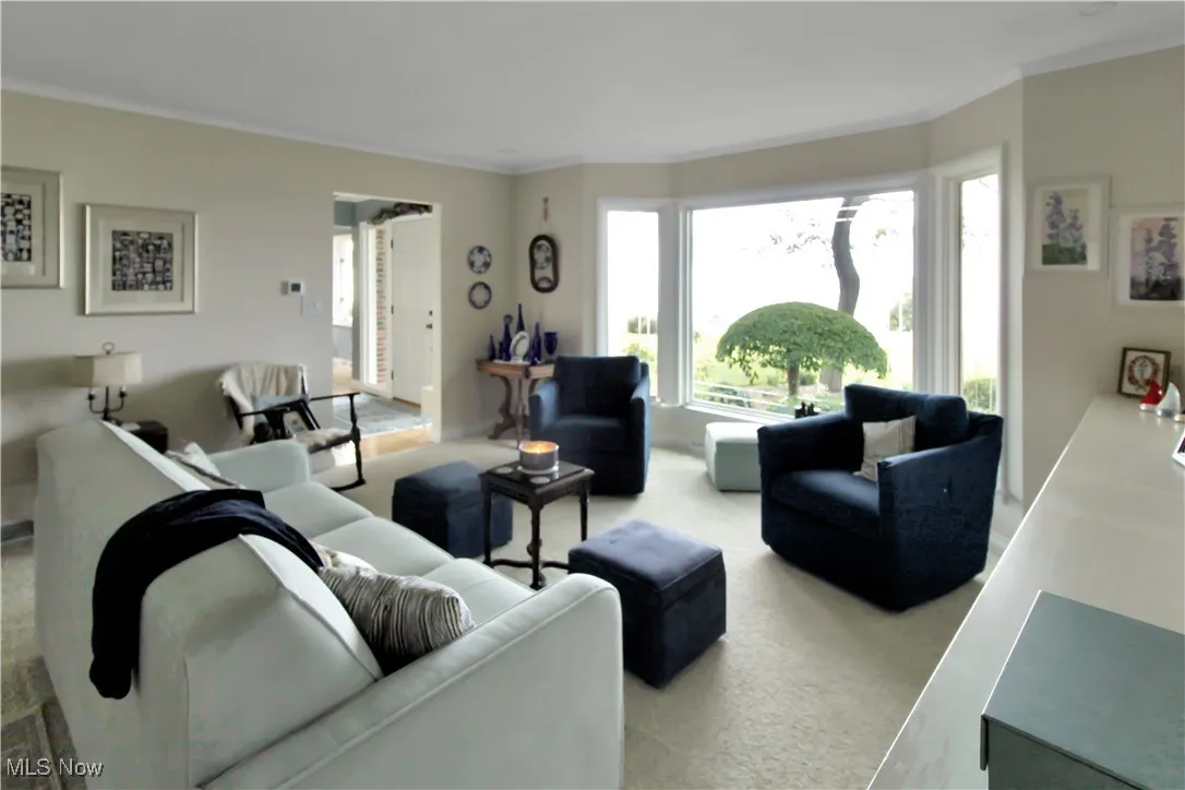 Living area featuring ornamental molding and carpet