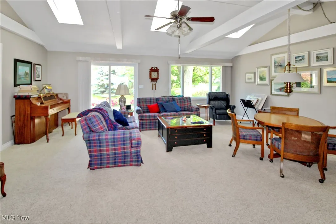 Carpeted living room with a skylight, healthy amount of natural light, and a ceiling fan