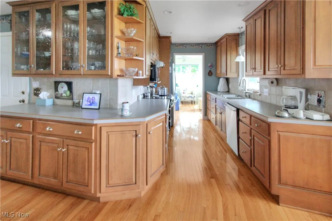 Kitchen with dishwashing machine, light wood-style floors, open shelves, and tasteful backsplash