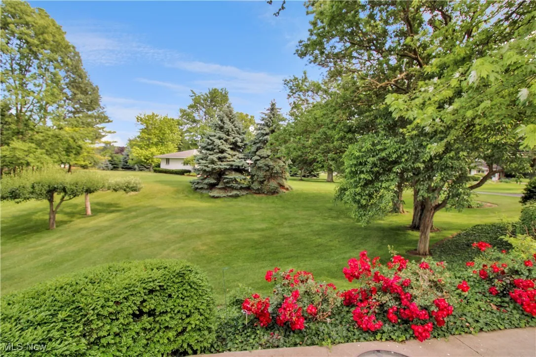 View of green lawn featuring view of golf course