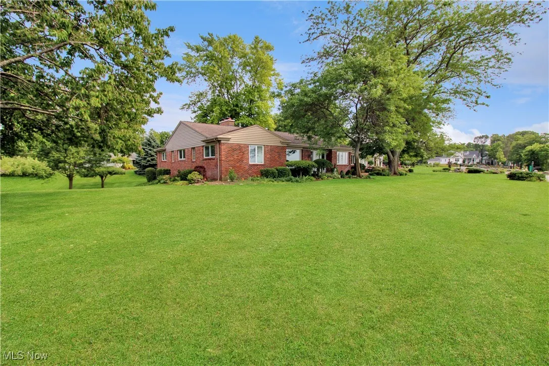 View of grassy yard