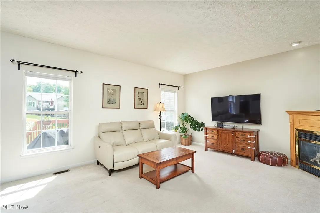 933 Alder Run Way, Akron, Ohio,MLS Now Listing ID