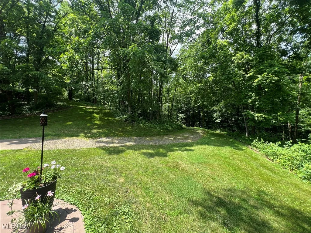 View of grassy yard