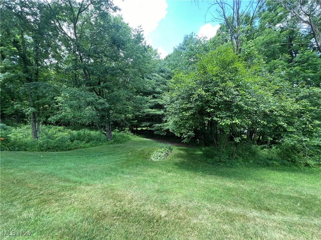 View of grassy yard