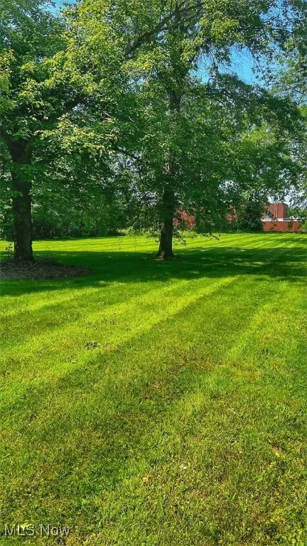 View of green lawn