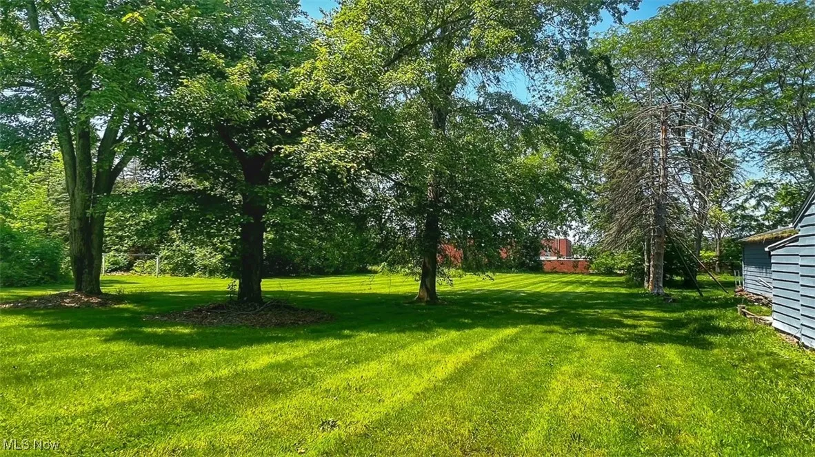 View of grassy yard