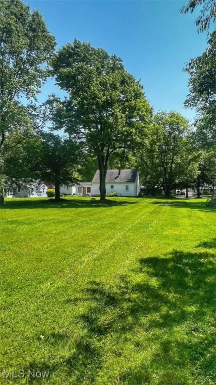 View of grassy yard