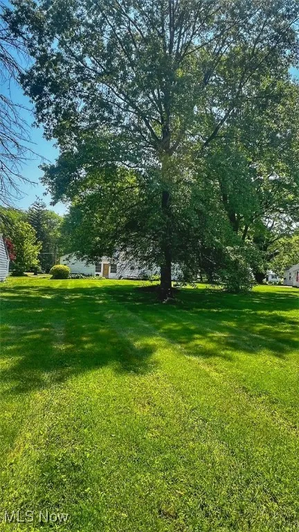 View of green lawn