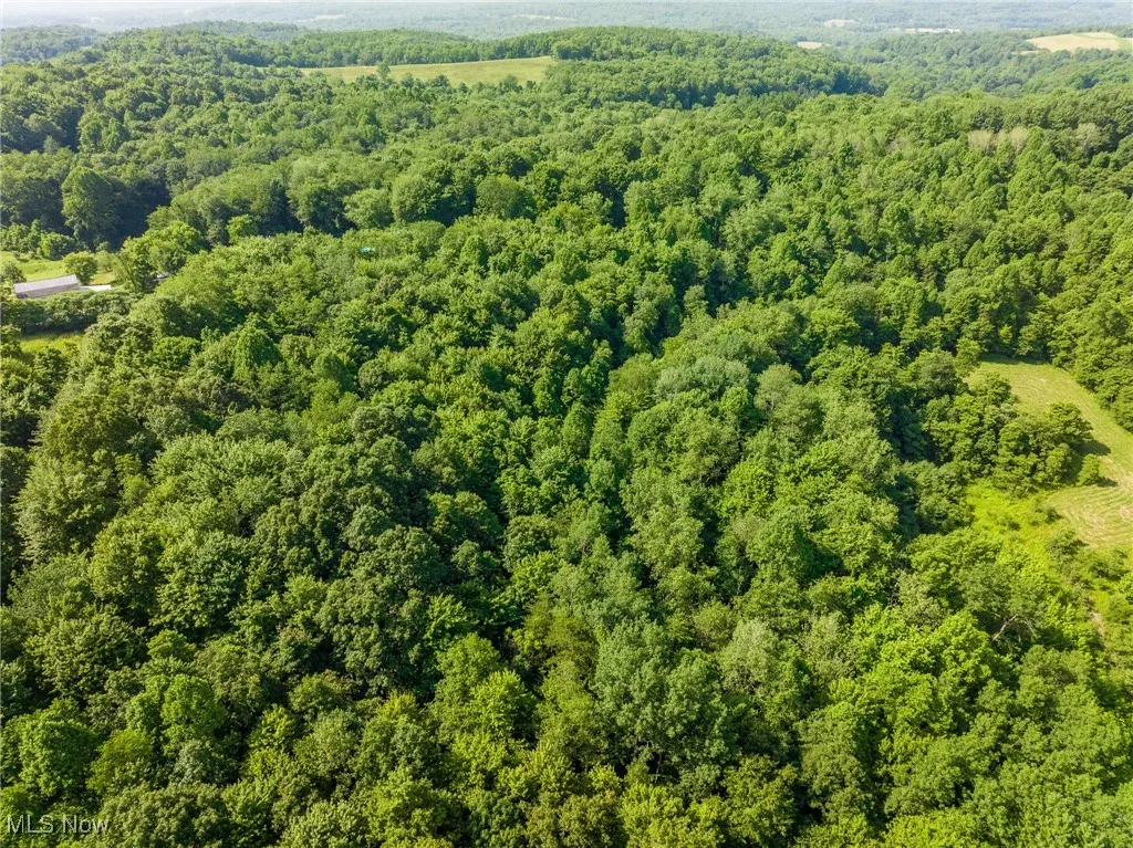 Aerial view of a heavily wooded area