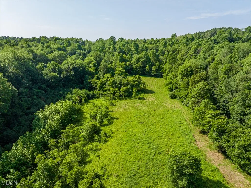 Drone / aerial view of a heavily wooded area
