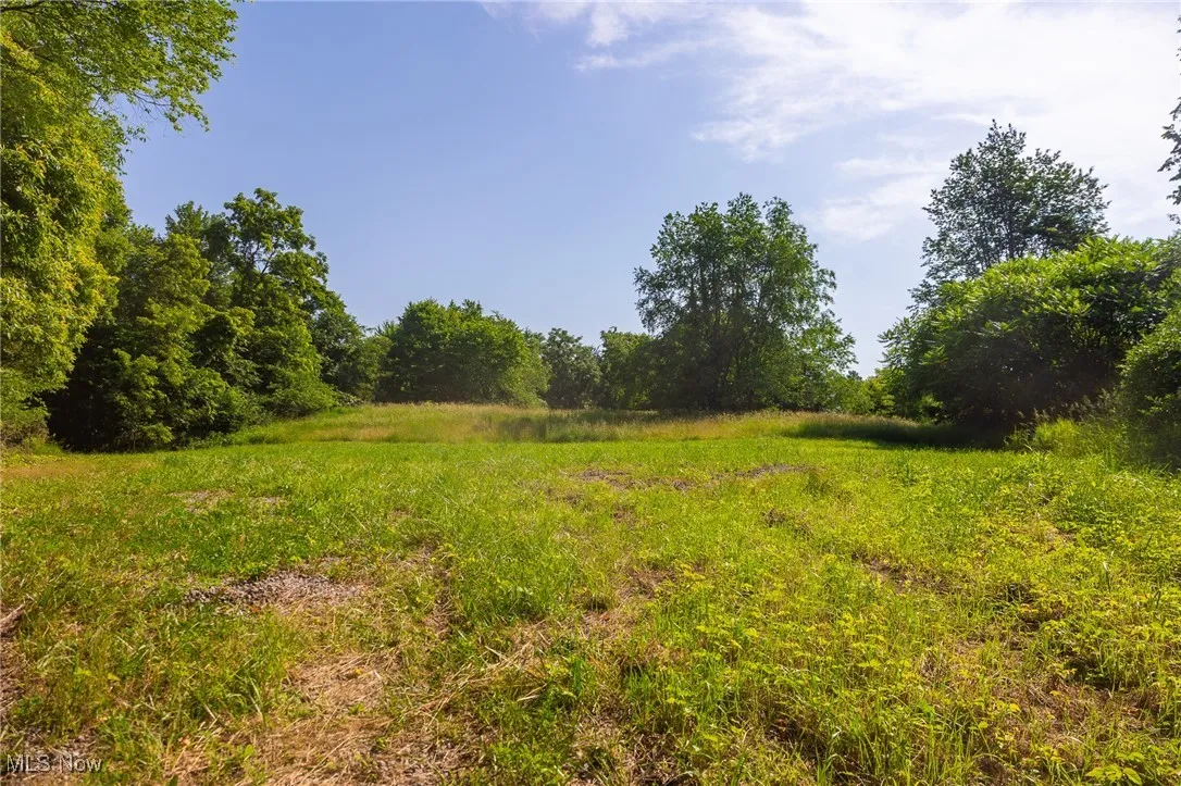 View of undeveloped land