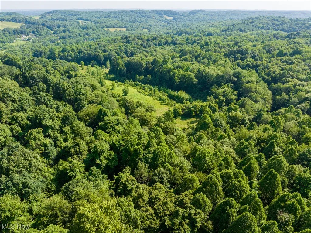 Aerial view of a heavily wooded area