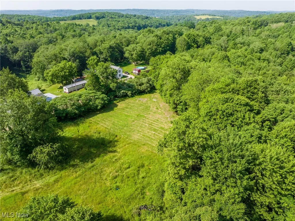 Drone / aerial view of a forest