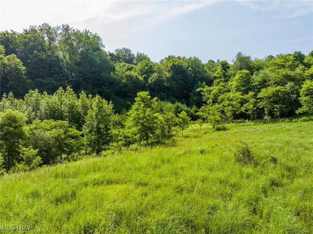 View of woods