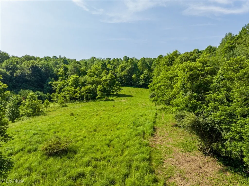 View of wooded area