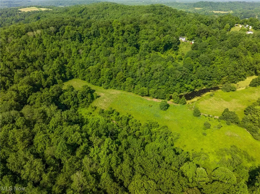 Bird's eye view of a heavily wooded area