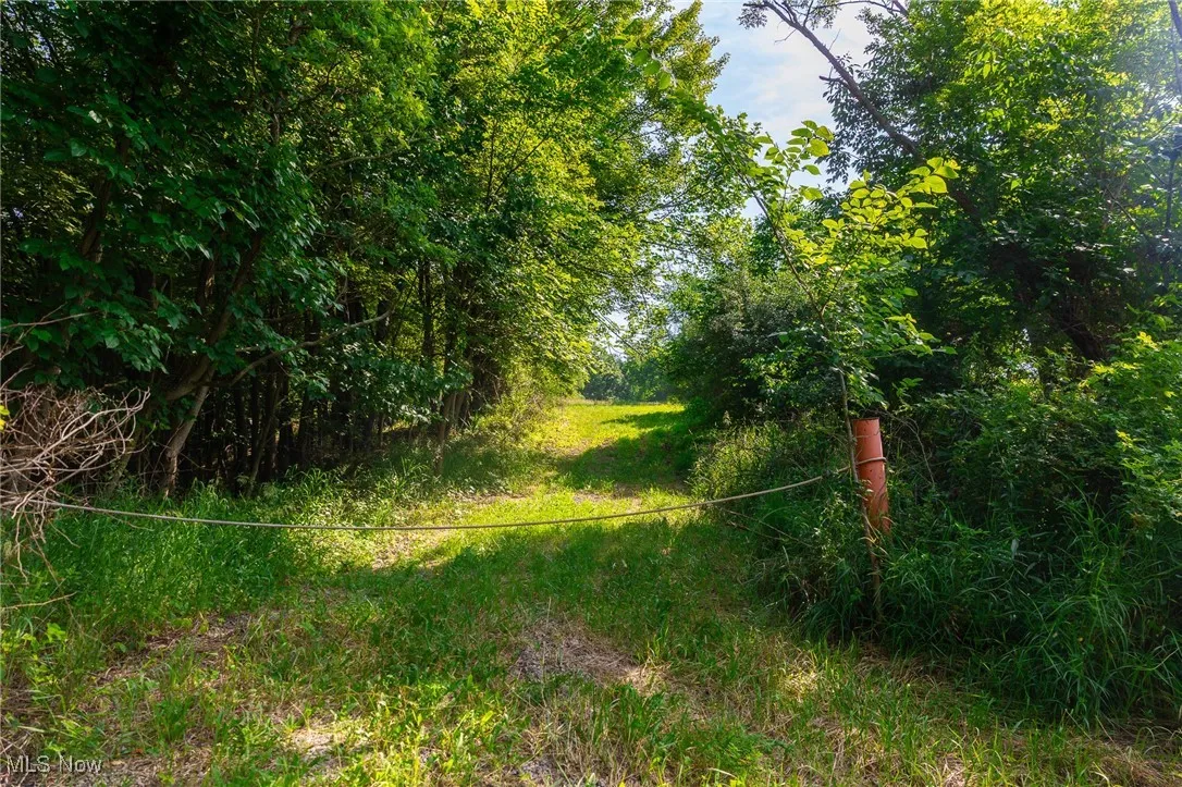 View of nature