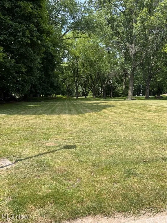View of grassy yard