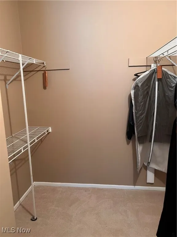 Walk in closet featuring carpet floors